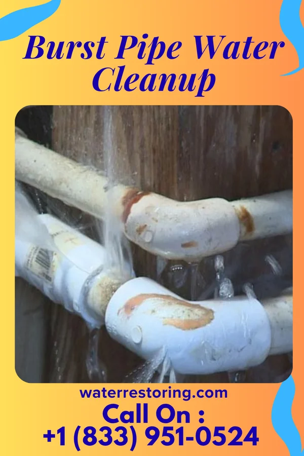 Burst Pipe Water Cleanup in Gahanna, OH