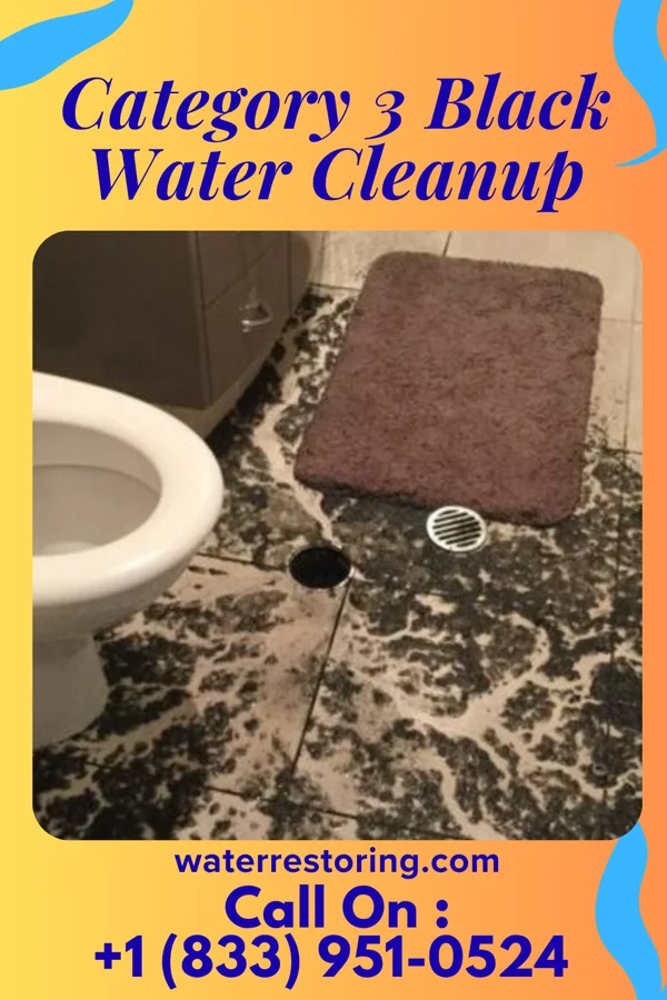 Category 3 Black Water Cleanup in Gahanna, OH
