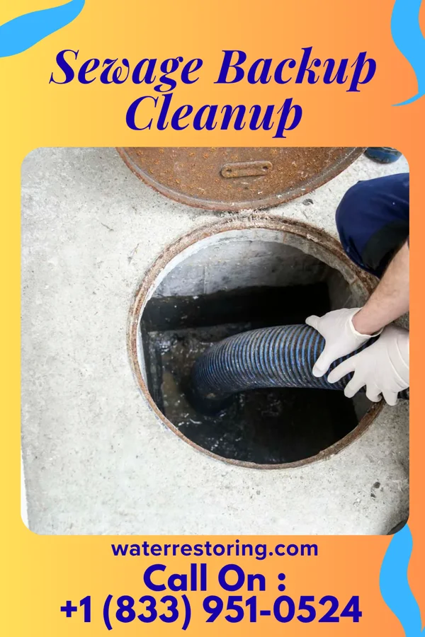 Sewage Backup Cleanup in Gahanna, OH