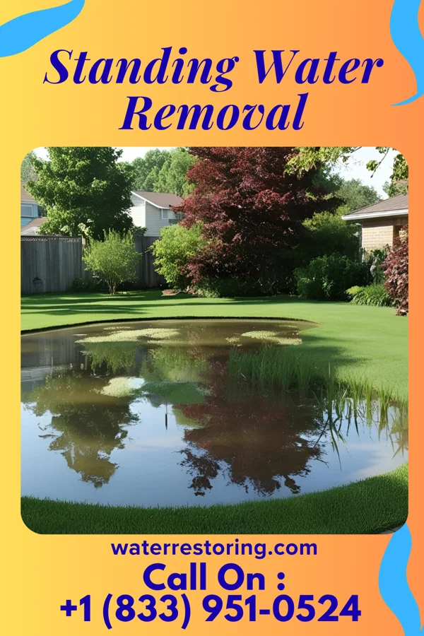 Standing Water Removal in Gahanna, OH